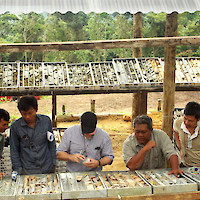 East Asia Minerals EAS — Miwah Gold — Inspecting Samples
